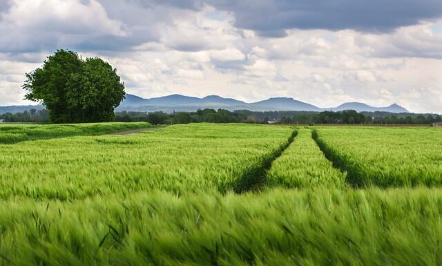 Jaki jest rozstaw śrub? Jaki jest rozstaw śrub?