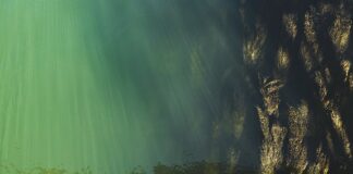 Jak sprawdzić poziom oleju renault espace 4?