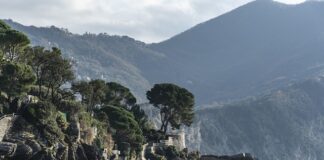 Ile kosztuje olej 5W-40?