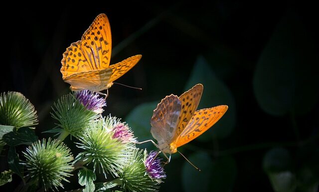 Jak sprawdzić czy masa jest dobra? Jak sprawdzić czy masa jest dobra?