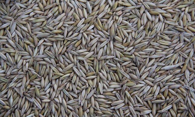 Gdzie produkuje się jeep?