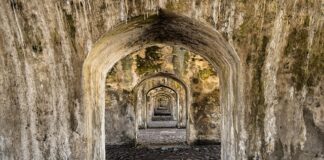 Kiedy nowe Punto 2023?