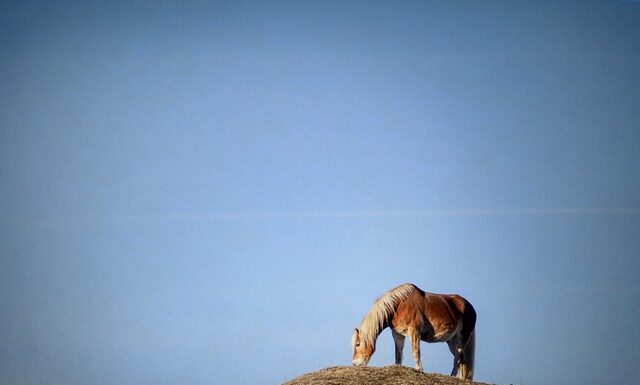 Co ile lat wymiana sprzęgła?