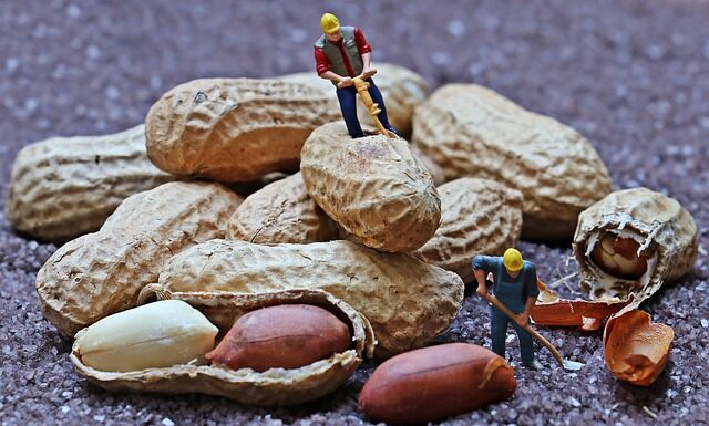 Jakimi metodami pracują nauczyciele?