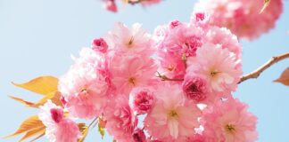 Ile paczek pieluch na początek?