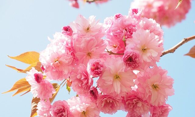 Ile paczek pieluch na początek?