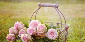 Do jakiego kosza wrzucamy zabawki?