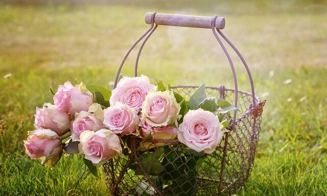 Do jakiego kosza wrzucamy zabawki?