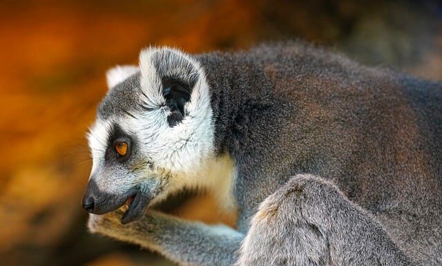 O której godzinie przestają gryźć komary?