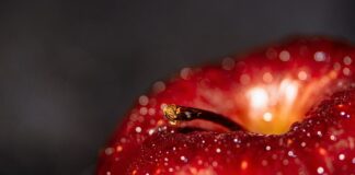 Jakie korzyści daje Internet?