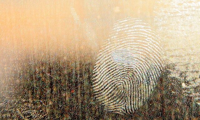 Jaki smar do pompki?