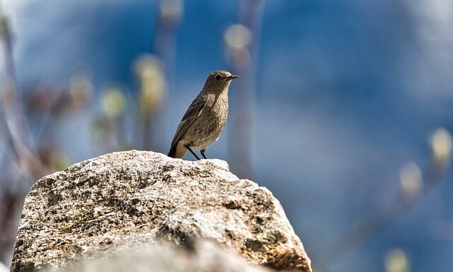 Jaki zapach ma pleśń?