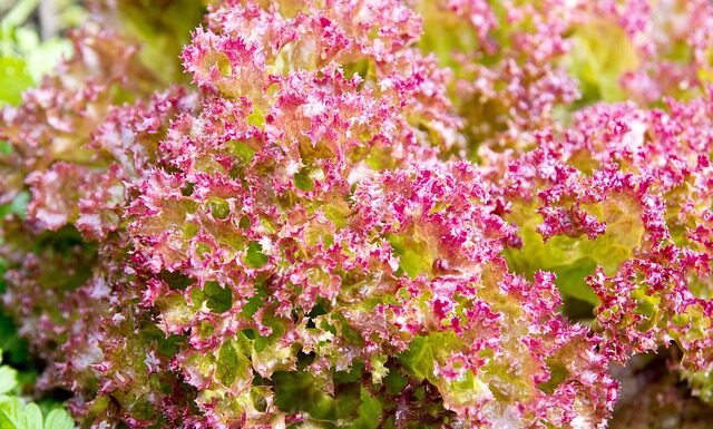 Jaki rozmiar pościeli dla 5 latka?