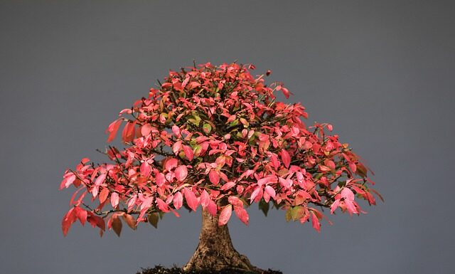 Czy gryzaki można myć w zmywarce?