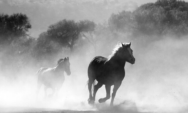 Czy można palić w mundurze?