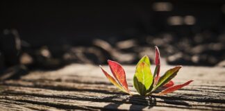 Co zamiast podkładów na przewijak?