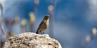 W jakiej temperaturze ginie pleśń? W jakiej temperaturze ginie pleśń?