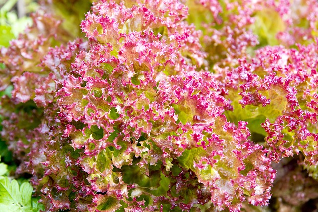 Jaki rozmiar pościeli dla 2 latka? Jaki rozmiar pościeli dla 2 latka?