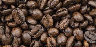 Co można zaliczyć do prostych środków dydaktycznych? Co można zaliczyć do prostych środków dydaktycznych?