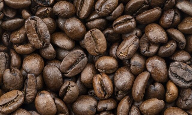 Co można zaliczyć do prostych środków dydaktycznych?