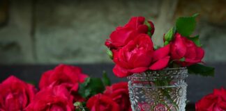 Do jakiego pojemnika zabawki?