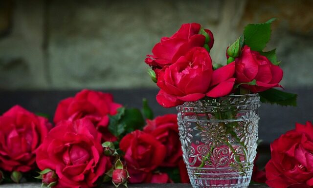 Do jakiego pojemnika zabawki?