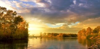 Jakie kolory lubią małe dzieci?