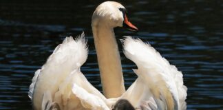 Jak długo trzeba jeździć w foteliku? Jak długo trzeba jeździć w foteliku?