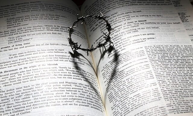 Czy Haier to dobra marka?