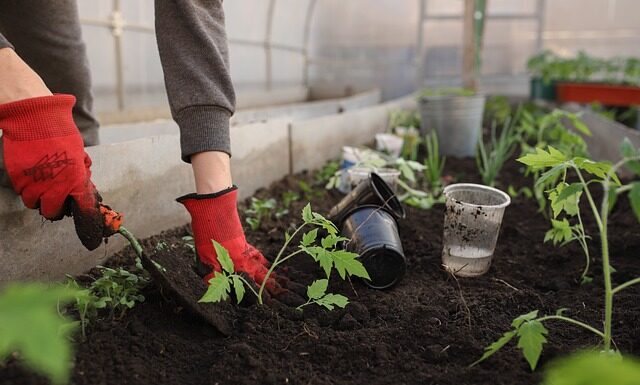 Jak ustawić dwa łóżka w jednym pokoju?