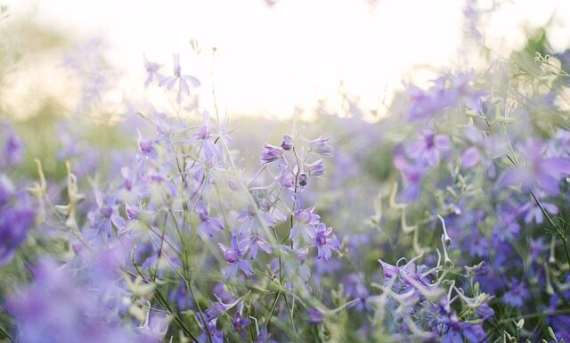 Co zamiast ekranu do projektora?