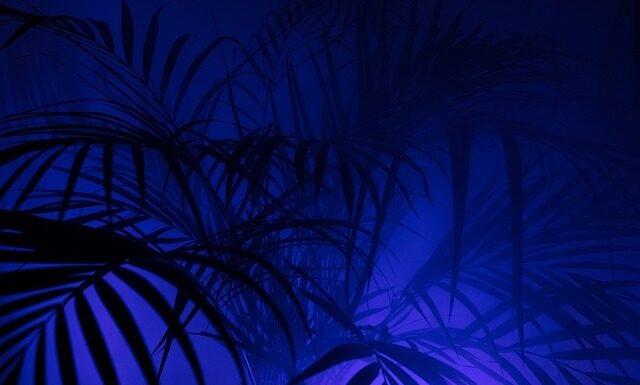 Co oznacza P na mundurze policjanta?