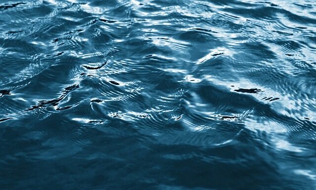 Jakie auta mają tajniacy?