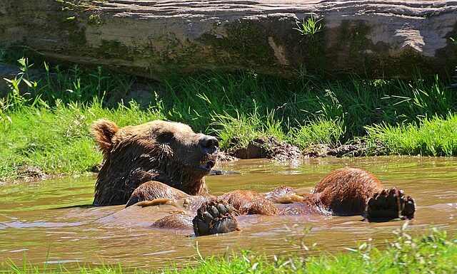 Jak odświeżyć plastikowe zabawki?