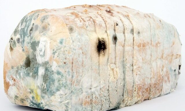 Czy dezynfekować zabawki dla dzieci?