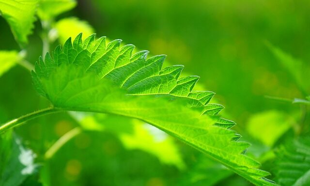 Co na ukąszenia komara u niemowlaka?