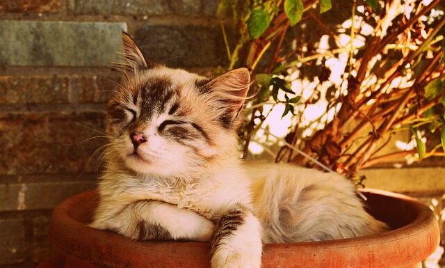 W czym śpi roczne dziecko?