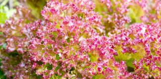 Jakie wypełnienie pościeli dla dziecka?