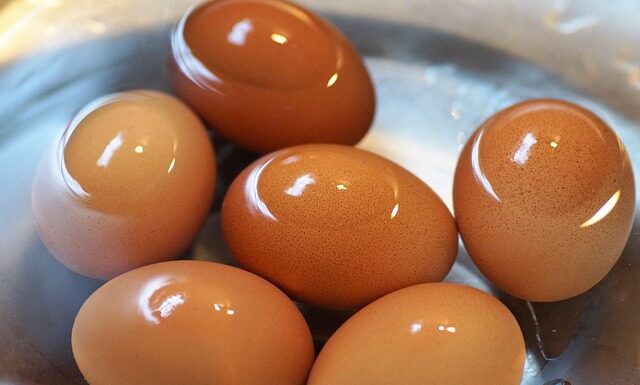 Jak schłodzić projektor? Jak schłodzić projektor?