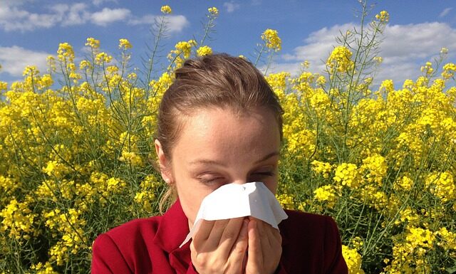 Jak sprawdzić czy dziecko jest uczulone na jad pszczeli?